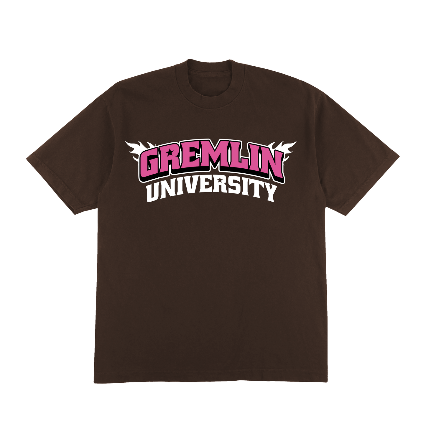 VARSITY FLAME TEE (PINK)