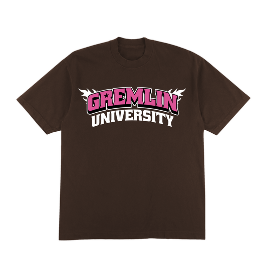 VARSITY FLAME TEE (PINK)