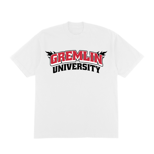 VARSITY FLAME TEE (WHITE)